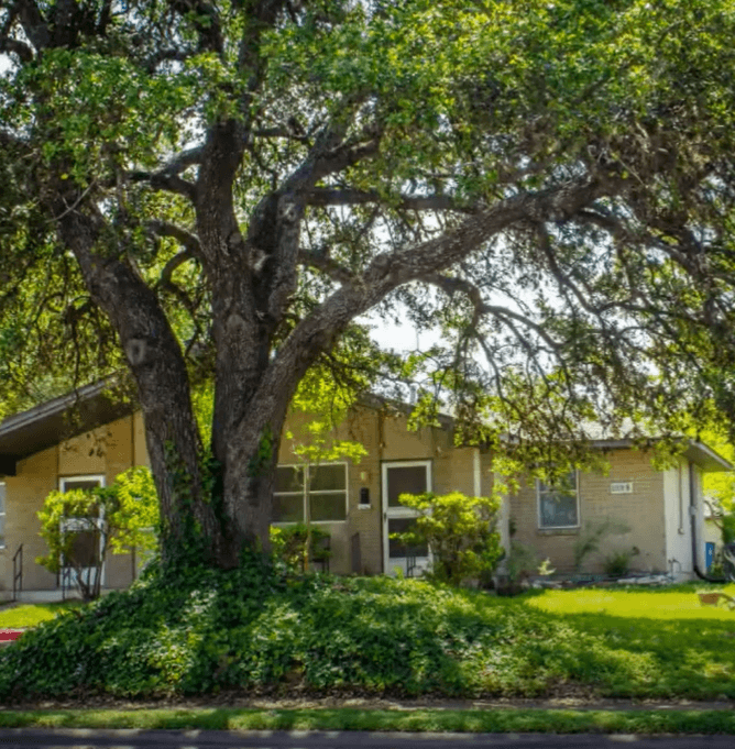 Pathways at Bouldin Oaks